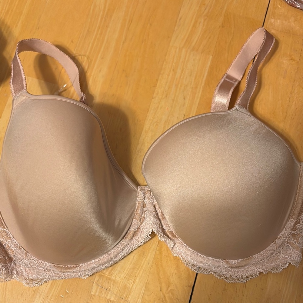 Elegant Lace Trimmed Bra in Nude